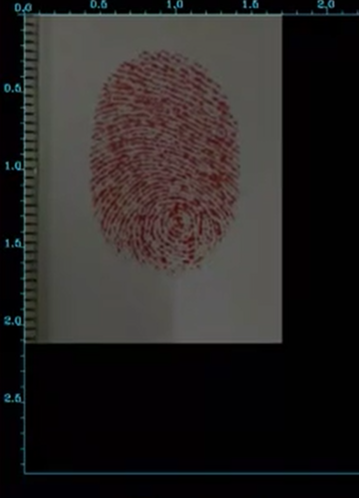 Fingerprint